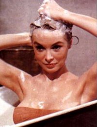 Janet Leigh Fakes