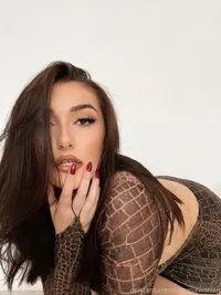 1146121.jpg
