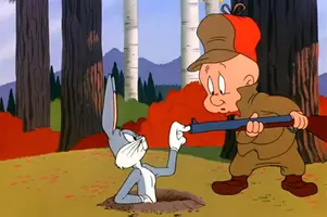 elmer-fudd-gun-1.webp